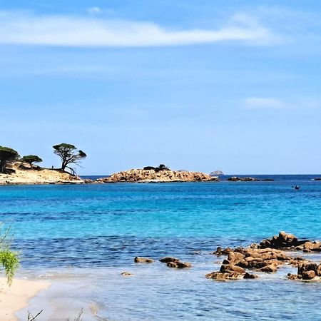Le Berceau D'Asciaghju Palombaggia - Acces Plage Et Piscine Privee بورتو فيكشْيو المظهر الخارجي الصورة