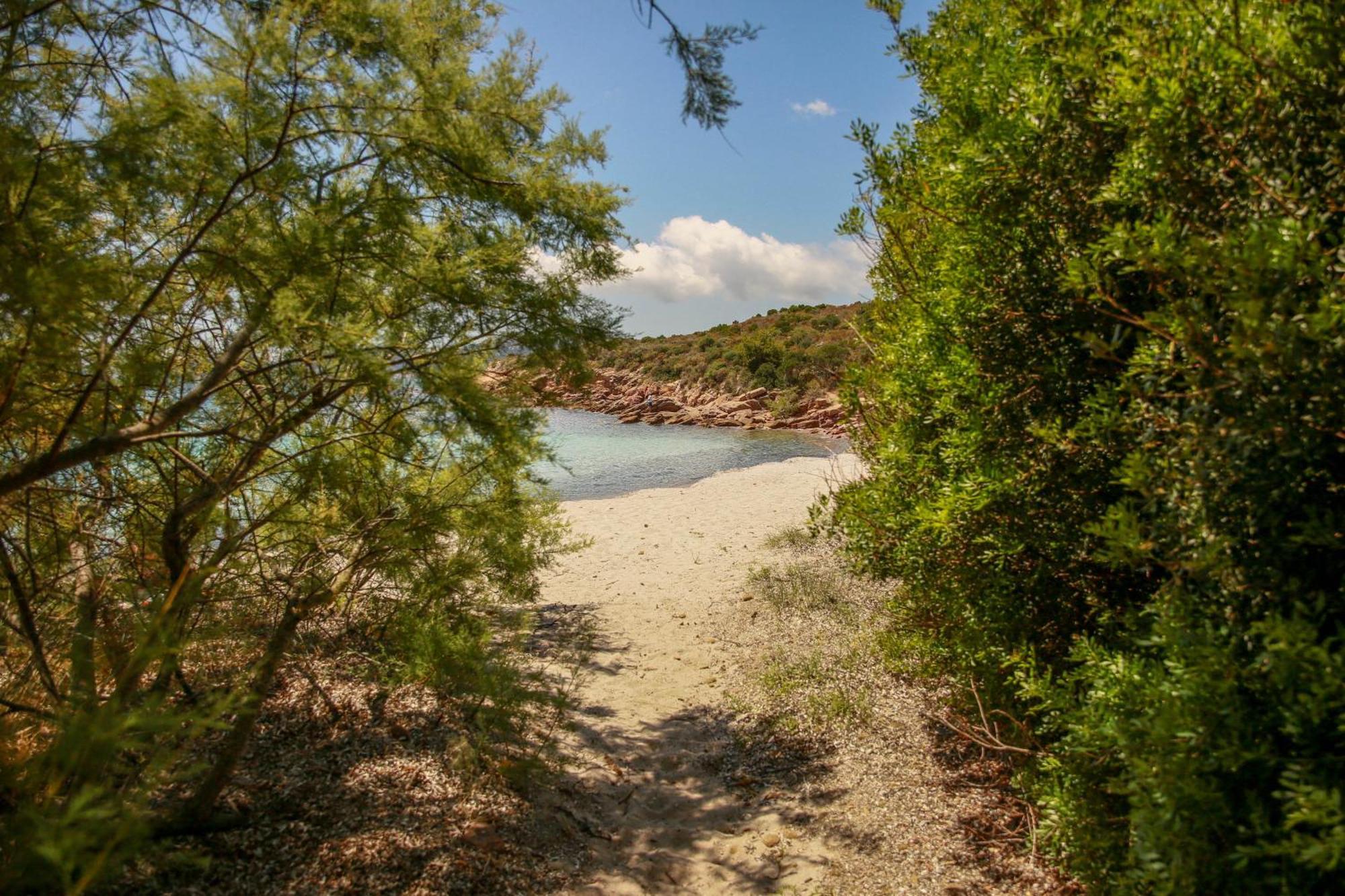 Le Berceau D'Asciaghju Palombaggia - Acces Plage Et Piscine Privee بورتو فيكشْيو المظهر الخارجي الصورة