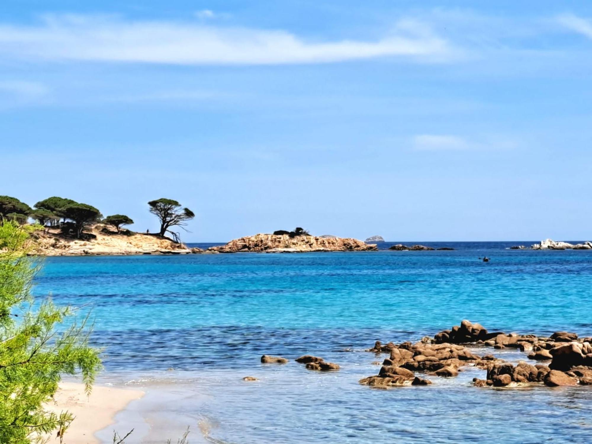 Le Berceau D'Asciaghju Palombaggia - Acces Plage Et Piscine Privee بورتو فيكشْيو المظهر الخارجي الصورة