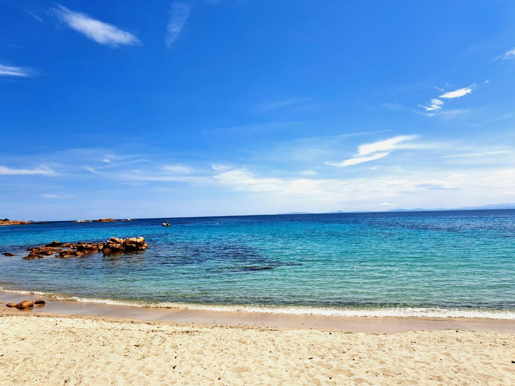Le Berceau D'Asciaghju Palombaggia - Acces Plage Et Piscine Privee بورتو فيكشْيو المظهر الخارجي الصورة